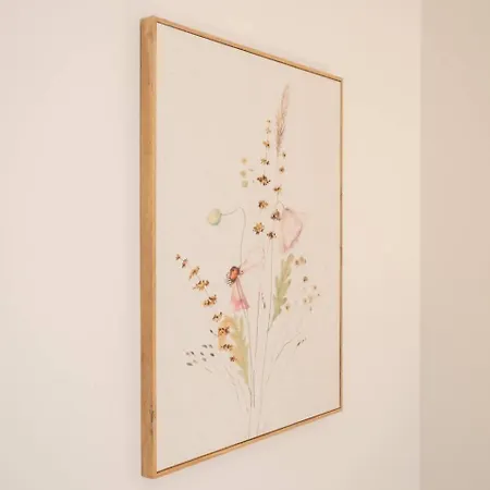 Flats Uruguay * Valencia